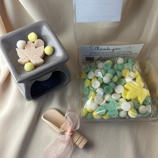 Arashiyama Bamboo Soy Wax Melts Box | Green Bamboo, 100% Soy